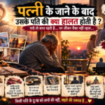 पत्नी के जाने के बाद पति का जीवन | दर्द, यादें और अकेलापन